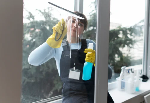 Nettoyage de vitres intérieures et extérieures à Bouzais